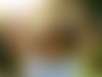 10 Gründe, warum emotionale Balance so wichtig ist.