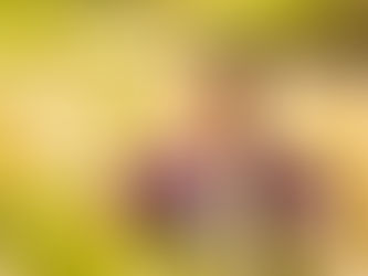 Allergiezeit & was du tun kannst.