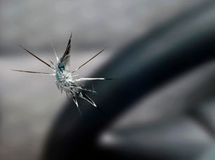 Steinschlag. Was jetzt zu tun ist.