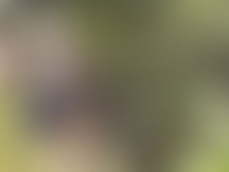 Gesunder Blutdruck leicht gemacht.