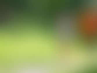 Sieben Tipps für Laufanfänger.