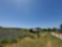 20210622_130339.jpg