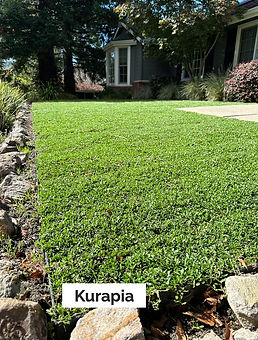 036E72BD-EE2A-4B20-9110-A05A552A188C_1_1