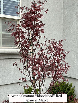 AHS Landscaping Inc.