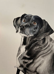 Emma Worley | Luna, Watercolor, UNITED STATES OF AMERICA