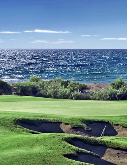 tat_golf_03.jpg