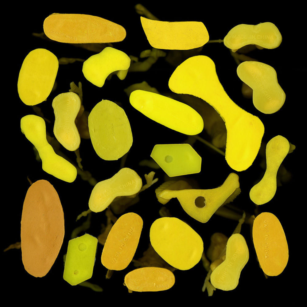 Shades of Yellow, 2009
Archival Digital Print 
40 x 40 in.