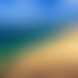 The long stretch of golden sand of Playa Mujeres