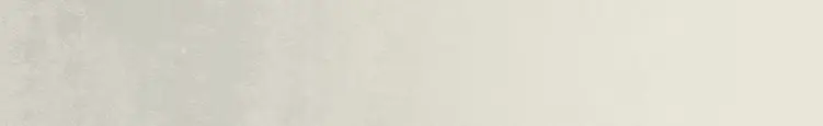 BackgroundHighlight.webp