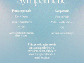 Parasympathetic Nervous System VS Sympathetic Nervous System