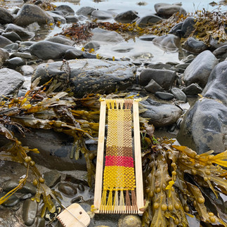 yellow and brown woven bookmark on a loom sitting on a rock pool surrounded by sea weed