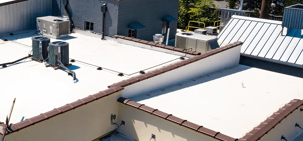 What is TPO Roofing.webp