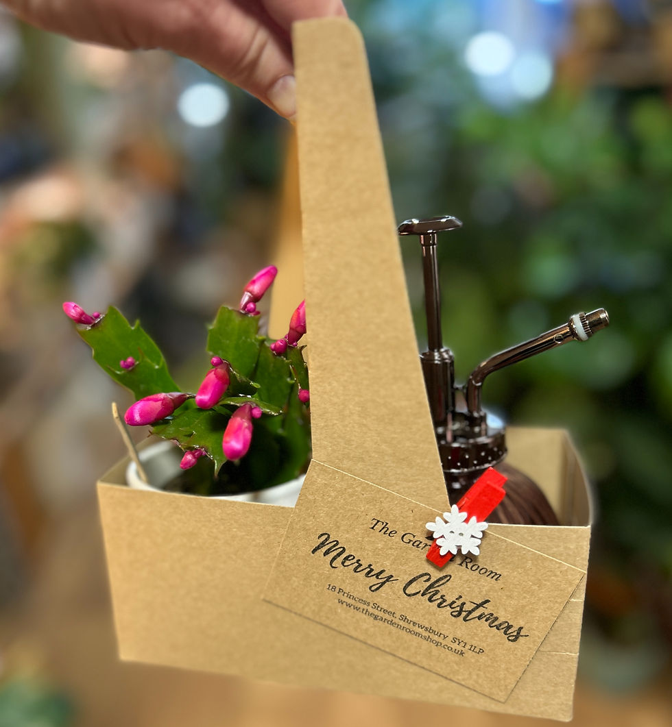 20251129_131543984_iOS_edited