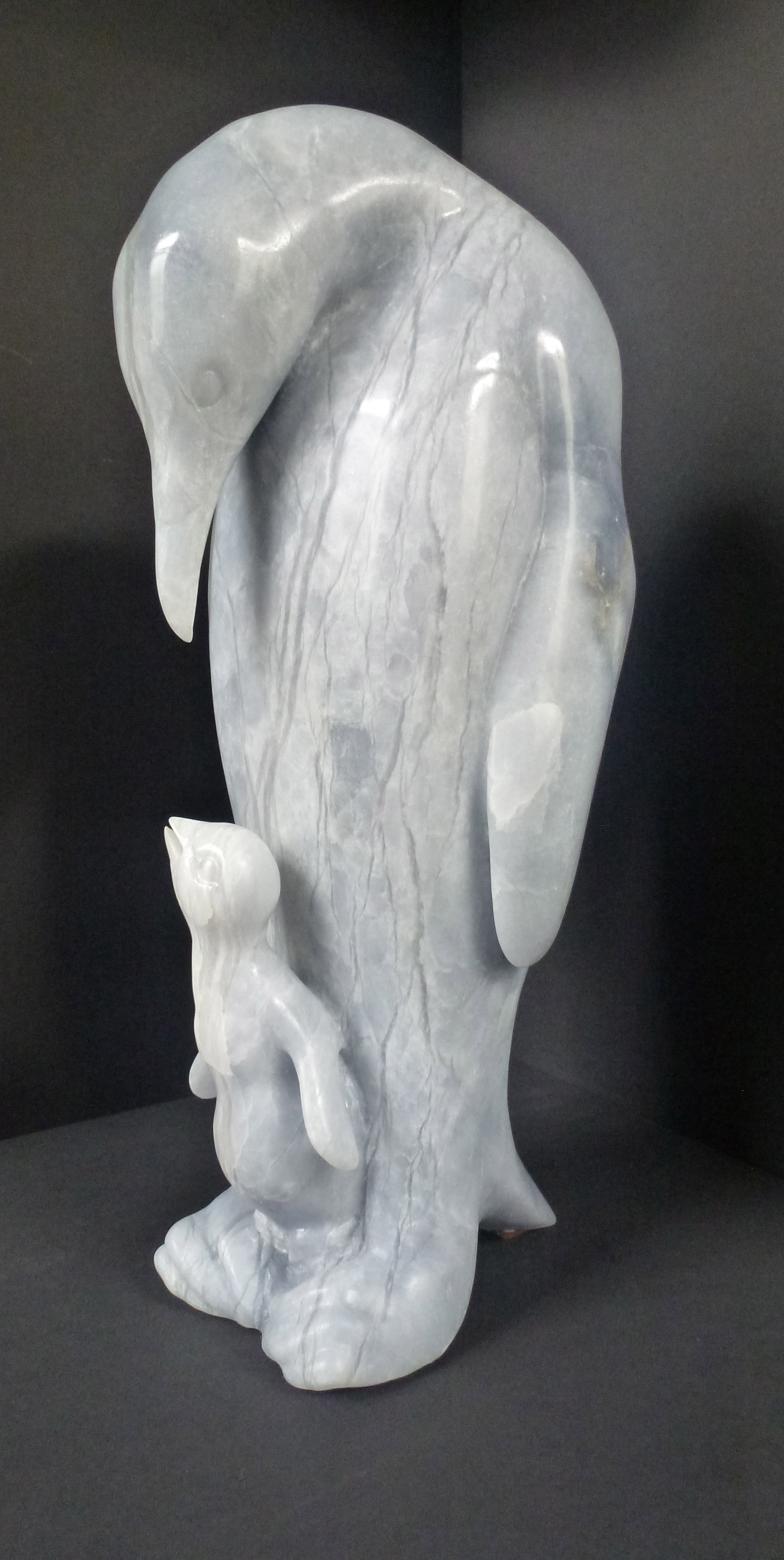MANCHOT ET BABY ALBATRE BLEU
