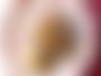 Sandwich di alberelli di panpepato