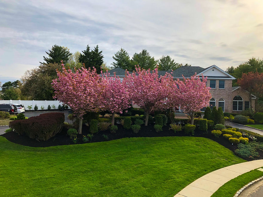 BC42DAD9-C855-4B76-8A07-A0F10CBA5AFE 2.JPEG