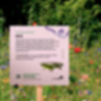 DIVERSE LEBENSRAUMSCHILDER