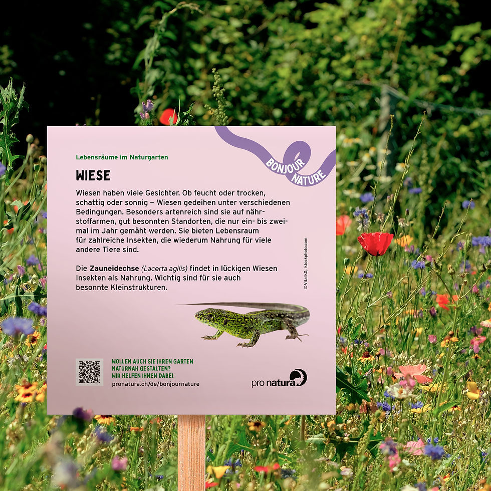 DIVERSE LEBENSRAUMSCHILDER