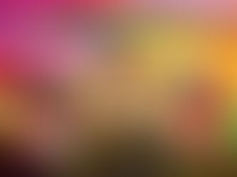 Top Features That Make the CK444 App a Must-Have for Users