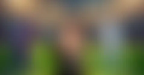 IPL Cricket game live में जीतने के लिए बेस्ट टिप्स और ट्रिक्स