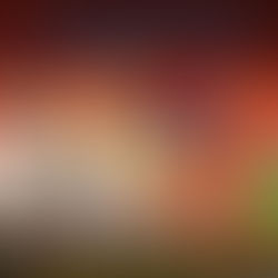 The Growing Popularity of 9wickets Among Cricket Lovers Worldwide