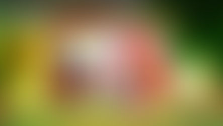 BouncingBall8-এ নতুন খেলোয়াড়দের জন্য সম্পূর্ণ গাইড