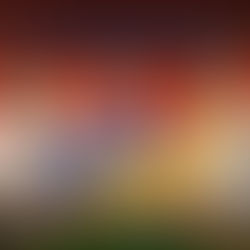 Why Mobile Gamers Prefer the 9wickets App for Fast and Easy Access