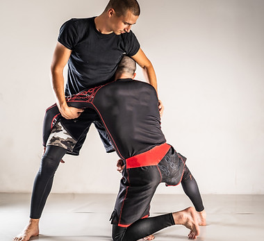 Image Grappling.jpg
