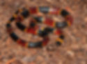 ree