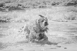 Treen Camping (59 of 140)