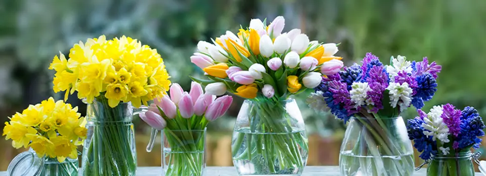top-spring-flowers.webp