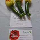 courgettes.jpeg