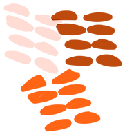 FF_Shapes 4.png