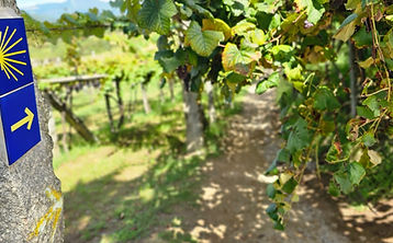 אויה לסנטיאגו דה קומפוסטלה