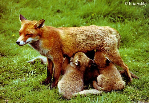 2025 Lakeway pic 17.jpeg