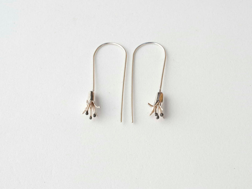 תמונה ממוזערת: ניצנים