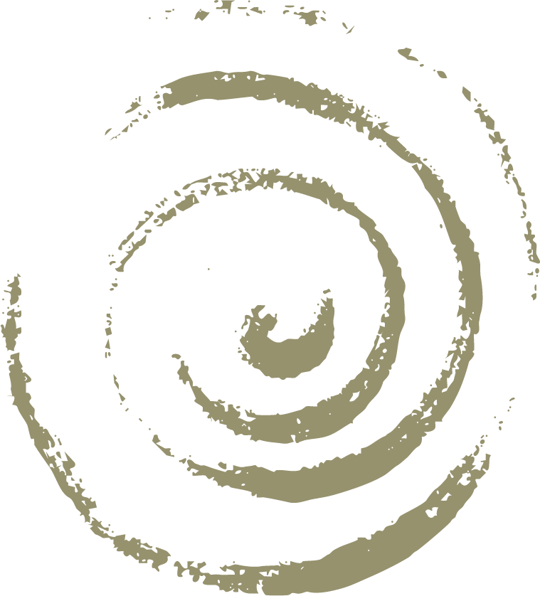 איור של ספירלה - סער גל