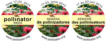 National Pollinators Week