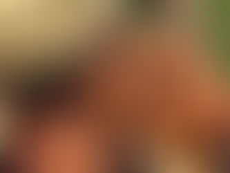 Honey lime chicken and elote corn salsa