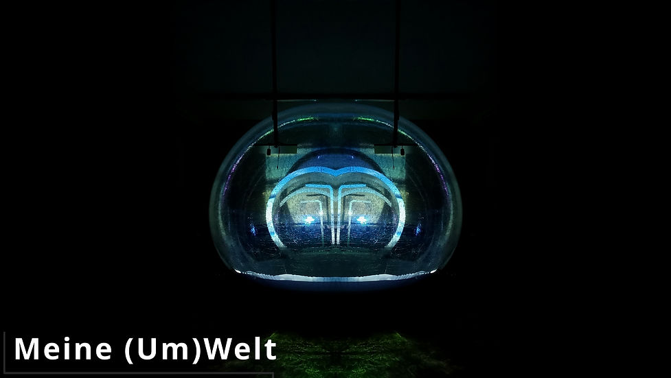 MU mit Titel_2.1.1.jpg