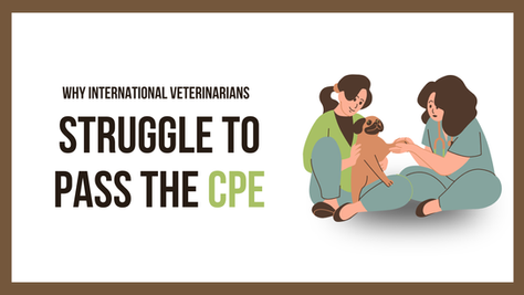 Why International Veterinarians Struggle with the Clinical Proficiency Exam (CPE)