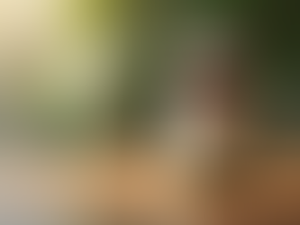 Enhancing Male Wellness: A Viriflow Review