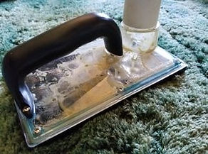 pet stain and odor removal in D.C