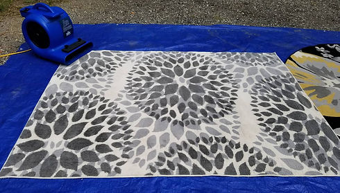 Area rug shampooing and steam cleaning