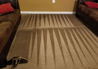 Carpet steam cleaning in Alexandria, VA