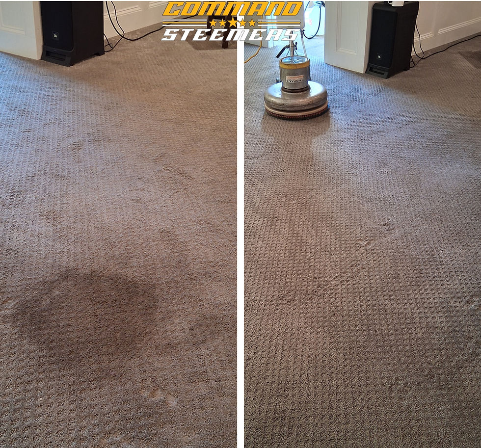 Commercial Carpet Cleaning