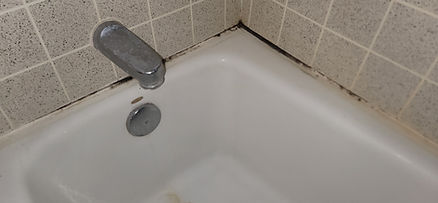 bathtub and shower grout and caulk repair