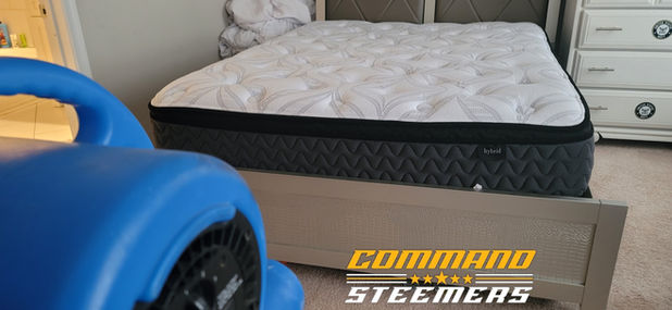 mattress cleaning, service, washington, d.c, command steemers
