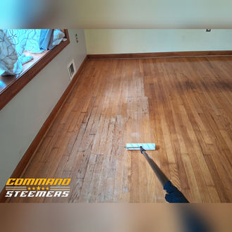 Waldorf, White Plains, Hughesville, md, hardwood floor, polishing, restoration, refinishing