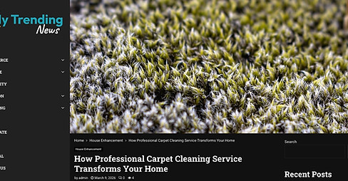 blog, alexandria va, carpet cleaning, service